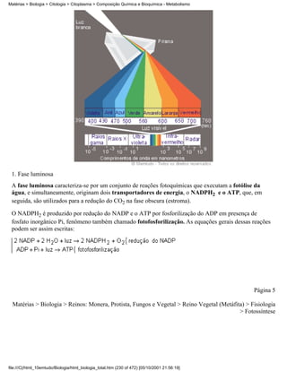 Matérias > Biologia > Citologia > Citoplasma > Composição Química e Bioquímica - Metabolismo




 1. Fase luminosa
 A fase luminosa caracteriza-se por um conjunto de reações fotoquímicas que executam a fotólise da
 água, e simultaneamente, originam dois transportadores de energia, o NADPH2 e o ATP, que, em
 seguida, são utilizados para a redução do CO2 na fase obscura (estroma).

 O NADPH2 é produzido por redução do NADP e o ATP por fosforilização do ADP em presença de
 fosfato inorgânico Pi, fenômeno também chamado fotofosforilização. As equações gerais dessas reações
 podem ser assim escritas:




                                                                                                 Página 5

  Matérias > Biologia > Reinos: Monera, Protista, Fungos e Vegetal > Reino Vegetal (Metáfita) > Fisiologia
                                                                                           > Fotossíntese




file:///C|/html_10emtudo/Biologia/html_biologia_total.htm (230 of 472) [05/10/2001 21:56:19]
 