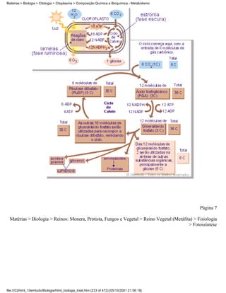 Matérias > Biologia > Citologia > Citoplasma > Composição Química e Bioquímica - Metabolismo




                                                                                                 Página 7

  Matérias > Biologia > Reinos: Monera, Protista, Fungos e Vegetal > Reino Vegetal (Metáfita) > Fisiologia
                                                                                           > Fotossíntese




file:///C|/html_10emtudo/Biologia/html_biologia_total.htm (233 of 472) [05/10/2001 21:56:19]
 