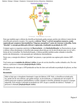 Matérias > Biologia > Citologia > Citoplasma > Composição Química e Bioquímica - Metabolismo




 Note que também aqui o elétron da clorofila a iluminada ganha energia; porém este elétron é removido da
 clorofila pelo primeiro receptor. Em seguida, o elétron “desce” a níveis energéticos menores, sendo
 capturado por aceptores intermediários ("degraus energéticos") antes de retornar à clorofila. Nesta
 “descida”, a energia perdida pelo elétron é capturada, resultando na produção de ATP.
 Compare agora os esquemas anteriores da fluorescência e da fotofosforilização: na fluorescência, já que
 o elétron voltou diretamente à clorofila toda energia absorvida por ele foi devolvida de uma vez só, sob a
 forma de luz (vermelha). Na fotofosforilização, o elétron perdido também acaba voltando à clorofila;
 porém não diretamente, e sim passando por substâncias intermediárias.
 Neste caso, a energia do elétron é “perdida” aos poucos, o que permite sua captura pelo sistema ADP –
 ATP.
 Você notou que o caminho do elétron é cíclico, já que ele sai da clorofila e acaba voltando a ela. Por este
 motivo, o processo é chamado fotofosforilação cíclica.
 Não percamos de vista que o ATP produzido na fase de claro será utilizado na produção de glicose, na fase
 de escuro.
 Resumindo:

    Sabe-se hoje que o cloroplasto iluminado é capaz de fabricar ATP. Nele, a clorofila a excitada pela
    luz, perde um de seus elétrons, que ganha energia, sai da molécula, e é capturado por um aceptor. O
    elétron passa por aceptores intermediários e acaba voltando à clorofila, perdendo aos poucos a energia
    adquirida. Esta energia é utilizada na produção de ATP. Já que o caminho do elétron é “fechado“, o
    processo é chamado fotofosforilação cíclica.




                                                                                                    Página 8

file:///C|/html_10emtudo/Biologia/html_biologia_total.htm (235 of 472) [05/10/2001 21:56:19]
 