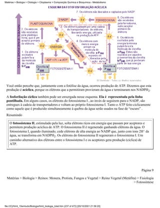 Matérias > Biologia > Citologia > Citoplasma > Composição Química e Bioquímica - Metabolismo




 Você então percebe que, juntamente com a fotólise da água, ocorreu produção de ATP. Dizemos que esta
 produção é acíclica, porque os elétrons que a permitiram provieram da água e terminaram nos NADPH2.

 A fosforilação cíclica também pode ser enxergada nesse esquema. Ela é representada pela linha
 pontilhada. Em alguns casos, os elétrons do fotossistema I , ao invés de seguirem para o NADP, são
 entregues à cadeia de transportadores e voltam ao próprio fotossistema I. Tanto o ATP feito ciclicamente
 como aquele que é produzido simultaneamente à quebra da água serão usados na fase de “escuro” .
 Resumindo

    O fotossistema II, estimulado pela luz, solta elétrons ricos em energia que passam por aceptores e
    permitem produção acíclica de ATP. O fotossistema II é regenerado ganhando elétrons da água. O
    fotossistema I, quando iluminado, cede elétrons de alta energia ao NADP que, junto com íons 2H+ da
    água, se transforma em NADPH2. Os elétrons do fotossistema II regeneram o fotossistema I. Um
    caminho alternativo dos elétrons entre o fotossistema I e os aceptores gera produção (cíclica) de
    ATP.




                                                                                                  Página 9

  Matérias > Biologia > Reinos: Monera, Protista, Fungos e Vegetal > Reino Vegetal (Metáfita) > Fisiologia
                                                                                           > Fotossíntese




file:///C|/html_10emtudo/Biologia/html_biologia_total.htm (237 of 472) [05/10/2001 21:56:20]
 