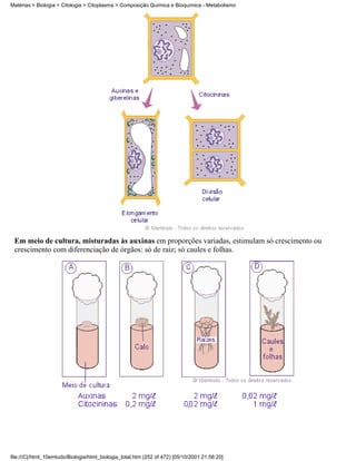 Matérias > Biologia > Citologia > Citoplasma > Composição Química e Bioquímica - Metabolismo




 Em meio de cultura, misturadas às auxinas em proporções variadas, estimulam só crescimento ou
 crescimento com diferenciação de órgãos: só de raiz; só caules e folhas.




file:///C|/html_10emtudo/Biologia/html_biologia_total.htm (252 of 472) [05/10/2001 21:56:20]
 
