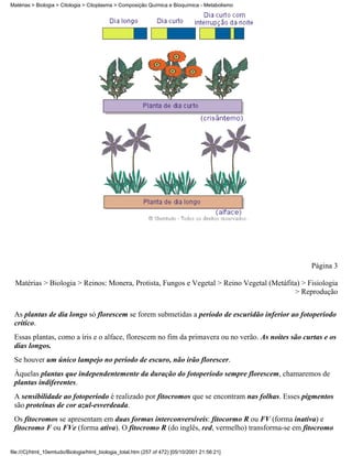 Matérias > Biologia > Citologia > Citoplasma > Composição Química e Bioquímica - Metabolismo




                                                                                                   Página 3

  Matérias > Biologia > Reinos: Monera, Protista, Fungos e Vegetal > Reino Vegetal (Metáfita) > Fisiologia
                                                                                           > Reprodução

 As plantas de dia longo só florescem se forem submetidas a período de escuridão inferior ao fotoperíodo
 crítico.
 Essas plantas, como a íris e o alface, florescem no fim da primavera ou no verão. As noites são curtas e os
 dias longos.
 Se houver um único lampejo no período de escuro, não irão florescer.
 Àquelas plantas que independentemente da duração do fotoperíodo sempre florescem, chamaremos de
 plantas indiferentes.
 A sensibilidade ao fotoperíodo é realizado por fitocromos que se encontram nas folhas. Esses pigmentos
 são proteínas de cor azul-esverdeada.
 Os fitocromos se apresentam em duas formas interconversíveis: fitocormo R ou FV (forma inativa) e
 fitocromo F ou FVe (forma ativa). O fitocromo R (do inglês, red, vermelho) transforma-se em fitocromo


file:///C|/html_10emtudo/Biologia/html_biologia_total.htm (257 of 472) [05/10/2001 21:56:21]
 