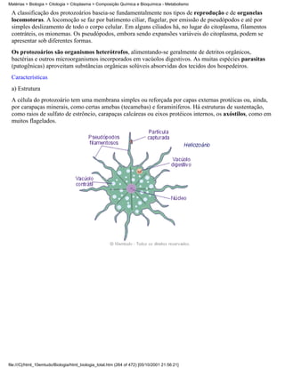 Matérias > Biologia > Citologia > Citoplasma > Composição Química e Bioquímica - Metabolismo

 A classificação dos protozoários baseia-se fundamentalmente nos tipos de reprodução e de organelas
 locomotoras. A locomoção se faz por batimento ciliar, flagelar, por emissão de pseudópodos e até por
 simples deslizamento de todo o corpo celular. Em alguns ciliados há, no lugar do citoplasma, filamentos
 contráteis, os mionemas. Os pseudópodos, embora sendo expansões variáveis do citoplasma, podem se
 apresentar sob diferentes formas.
 Os protozoários são organismos heterótrofos, alimentando-se geralmente de detritos orgânicos,
 bactérias e outros microorganismos incorporados em vacúolos digestivos. As muitas espécies parasitas
 (patogênicas) aproveitam substâncias orgânicas solúveis absorvidas dos tecidos dos hospedeiros.
 Características
 a) Estrutura
 A célula do protozoário tem uma membrana simples ou reforçada por capas externas protéicas ou, ainda,
 por carapaças minerais, como certas amebas (tecamebas) e foraminíferos. Há estruturas de sustentação,
 como raios de sulfato de estrôncio, carapaças calcáreas ou eixos protéicos internos, os axóstilos, como em
 muitos flagelados.




file:///C|/html_10emtudo/Biologia/html_biologia_total.htm (264 of 472) [05/10/2001 21:56:21]
 