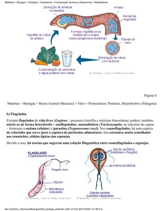 Matérias > Biologia > Citologia > Citoplasma > Composição Química e Bioquímica - Metabolismo




                                                                                                 Página 4

  Matérias > Biologia > Reino Animal (Metazoa) > Filos > Protozoários: Protistas, Heterótrofos e Patogenia


 b) Flagelados
 Existem flagelados de vida livre (Euglena – possuem clorofila e realizam fotossíntese; podem, também,
 nutrir-se de forma heterótrofa = zooflagelados), mutualísticos (Trichonympha, no intestino de cupins
 – fornecem a enzima celulase) e parasitas (Trypanosoma cruzi). Nos coanoflagelados, há uma espécie
 de colarinho que serve para a captura de partículas alimentares; têm estrutura muito semelhante
 aos coanócitos, células típicas das esponjas.
 Devido a isso, há teorias que sugerem uma relação filogenética entre coanoflagelados e esponjas.




file:///C|/html_10emtudo/Biologia/html_biologia_total.htm (267 of 472) [05/10/2001 21:56:21]
 