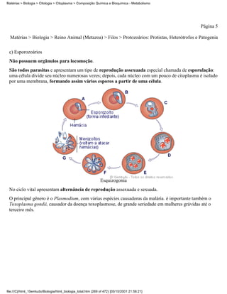 Matérias > Biologia > Citologia > Citoplasma > Composição Química e Bioquímica - Metabolismo




                                                                                                 Página 5

  Matérias > Biologia > Reino Animal (Metazoa) > Filos > Protozoários: Protistas, Heterótrofos e Patogenia


 c) Esporozoários
 Não possuem orgânulos para locomoção.
 São todos parasitas e apresentam um tipo de reprodução assexuada especial chamada de esporulação:
 uma célula divide seu núcleo numerosas vezes; depois, cada núcleo com um pouco de citoplasma é isolado
 por uma membrana, formando assim vários esporos a partir de uma célula.




                                                               Esquizogonia
 No ciclo vital apresentam alternância de reprodução assexuada e sexuada.
 O principal gênero é o Plasmodium, com várias espécies causadoras da malária. é importante também o
 Toxoplasma gondii, causador da doença toxoplasmose, de grande seriedade em mulheres grávidas até o
 terceiro mês.




file:///C|/html_10emtudo/Biologia/html_biologia_total.htm (269 of 472) [05/10/2001 21:56:21]
 