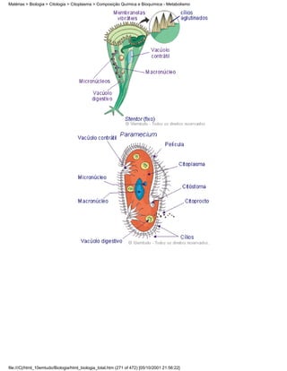 Matérias > Biologia > Citologia > Citoplasma > Composição Química e Bioquímica - Metabolismo




file:///C|/html_10emtudo/Biologia/html_biologia_total.htm (271 of 472) [05/10/2001 21:56:22]
 