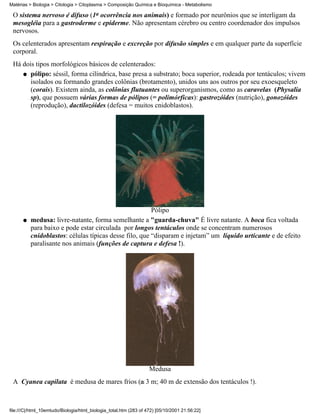 Matérias > Biologia > Citologia > Citoplasma > Composição Química e Bioquímica - Metabolismo

 O sistema nervoso é difuso (1a ocorrência nos animais) e formado por neurônios que se interligam da
 mesogléia para a gastroderme e epiderme. Não apresentam cérebro ou centro coordenador dos impulsos
 nervosos.
 Os celenterados apresentam respiração e excreção por difusão simples e em qualquer parte da superfície
 corporal.
 Há dois tipos morfológicos básicos de celenterados:
    q pólipo: séssil, forma cilíndrica, base presa a substrato; boca superior, rodeada por tentáculos; vivem
       isolados ou formando grandes colônias (brotamento), unidos uns aos outros por seu exoesqueleto
       (corais). Existem ainda, as colônias flutuantes ou superorganismos, como as caravelas (Physalia
       sp), que possuem várias formas de pólipos (= polimórficas): gastrozóides (nutrição), gonozóides
       (reprodução), dactilozóides (defesa = muitos cnidoblastos).




                                                        Pólipo
      q   medusa: livre-natante, forma semelhante a "guarda-chuva" É livre natante. A boca fica voltada
          para baixo e pode estar circulada por longos tentáculos onde se concentram numerosos
          cnidoblastos: células típicas desse filo, que “disparam e injetam” um líquido urticante e de efeito
          paralisante nos animais (funções de captura e defesa !).




                                                                   Medusa
 A Cyanea capilata é medusa de mares frios ( 3 m; 40 m de extensão dos tentáculos !).



file:///C|/html_10emtudo/Biologia/html_biologia_total.htm (283 of 472) [05/10/2001 21:56:22]
 