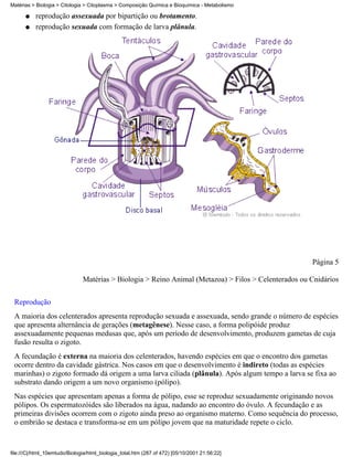 Matérias > Biologia > Citologia > Citoplasma > Composição Química e Bioquímica - Metabolismo

      q    reprodução assexuada por bipartição ou brotamento.
      q    reprodução sexuada com formação de larva plânula.




                                                                                                      Página 5

                               Matérias > Biologia > Reino Animal (Metazoa) > Filos > Celenterados ou Cnidários

 Reprodução
 A maioria dos celenterados apresenta reprodução sexuada e assexuada, sendo grande o número de espécies
 que apresenta alternância de gerações (metagênese). Nesse caso, a forma polipóide produz
 assexuadamente pequenas medusas que, após um período de desenvolvimento, produzem gametas de cuja
 fusão resulta o zigoto.
 A fecundação é externa na maioria dos celenterados, havendo espécies em que o encontro dos gametas
 ocorre dentro da cavidade gástrica. Nos casos em que o desenvolvimento é indireto (todas as espécies
 marinhas) o zigoto formado dá origem a uma larva ciliada (plânula). Após algum tempo a larva se fixa ao
 substrato dando origem a um novo organismo (pólipo).
 Nas espécies que apresentam apenas a forma de pólipo, esse se reproduz sexuadamente originando novos
 pólipos. Os espermatozóides são liberados na água, nadando ao encontro do óvulo. A fecundação e as
 primeiras divisões ocorrem com o zigoto ainda preso ao organismo materno. Como sequência do processo,
 o embrião se destaca e transforma-se em um pólipo jovem que na maturidade repete o ciclo.


file:///C|/html_10emtudo/Biologia/html_biologia_total.htm (287 of 472) [05/10/2001 21:56:22]
 