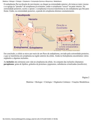 Matérias > Biologia > Citologia > Citoplasma > Composição Química e Bioquímica - Metabolismo

 O endoplasma flui na direção do movimento; ao chegar na extremidade anterior, ele torna-se mais viscoso
 e se agrega às "paredes" de ectoplasma já existentes, então o ectoplasma "cresce" na parte interior. Na
 extremidade posterior, ocorre o oposto: o ectoplasma (viscoso) transforma-se em endoplasma que flui para
 frente. Então, na extremidade posterior, a parede de ectoplasma diminui constantemente.




 Em conclusão, a célula se move por meio de um fluxo de endoplasma, enviado pela extremidade posterior,
 e que se transforma em ectoplasma na região anterior da célula. Ainda no hialoplasma encontramos vários
 orgânulos e algumas inclusões.
 As inclusões são estruturas sem vida no citoplasma da célula. Ao conjunto das inclusões chamamos
 paraplasma: gotas de lipídios, grânulos de proteínas e pigmentos, substâncias cristalizadas (insolúveis).




                                                                                                         Página 2

                                       Matérias > Biologia > Citologia > Orgânulos Celulares > Funções Metabólicas




file:///C|/html_10emtudo/Biologia/html_biologia_total.htm (29 of 472) [05/10/2001 21:56:09]
 