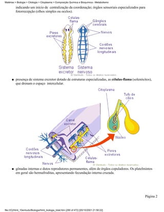 Matérias > Biologia > Citologia > Citoplasma > Composição Química e Bioquímica - Metabolismo

          indicando um início de centralização da coordenação; órgãos sensoriais especializados para
          fotorrecepção (olhos simples ou ocelos).




      q   presença de sistema excretor dotado de estruturas especializadas, as células-flama (solenócitos),
          que drenam o espaço intercelular.




      q   gônadas internas e dutos reprodutores permanentes, além de órgãos copuladores. Os platelmintos
          em geral são hermafroditas, apresentando fecundação interna cruzada.




                                                                                                      Página 2


file:///C|/html_10emtudo/Biologia/html_biologia_total.htm (290 of 472) [05/10/2001 21:56:22]
 