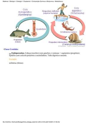 Matérias > Biologia > Citologia > Citoplasma > Composição Química e Bioquímica - Metabolismo




 Classe Cestóides
            Endoparasitas. Cabeça (escólex) com ganchos e ventosas + segmentos (proglotes).
          Epitélio com cutícula protetora e assimiladora. Tubo digestivo ausente.
          Exemplo:
          solitárias (tênias).




file:///C|/html_10emtudo/Biologia/html_biologia_total.htm (292 of 472) [05/10/2001 21:56:23]
 