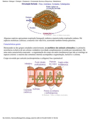 Matérias > Biologia > Citologia > Citoplasma > Composição Química e Bioquímica - Metabolismo




 Algumas espécies apresentam respiração branquial, embora a maioria tenha respiração cutânea. Há
 espécies monóicas e dióicas; a maioria é de vida livre, ocorrendo também formas parasitas.
 Características gerais
 Destacando-se dos grupos estudados anteriormente, os anelídeos são animais celomados; é a primeira
 ocorrência evolutiva de um celoma verdadeiro (cavidade completamente revestida por mesoderme). Há
 uma outra característica marcante - a segmentação do corpo em anéis (metâmeros) que não se restringe ao
 aspecto externo: a maioria das estruturas internas acompanha a segmentação, inclusive o celoma.
 Corpo revestido por cutícula (escleroproteína e colágeno) lisa e permeável.




file:///C|/html_10emtudo/Biologia/html_biologia_total.htm (296 of 472) [05/10/2001 21:56:23]
 