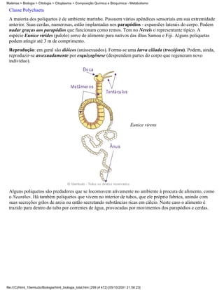Matérias > Biologia > Citologia > Citoplasma > Composição Química e Bioquímica - Metabolismo

 Classe Polychaeta
 A maioria dos poliquetos é de ambiente marinho. Possuem vários apêndices sensoriais em sua extremidade
 anterior. Suas cerdas, numerosas, estão implantadas nos parapódios - expansões laterais do corpo. Podem
 nadar graças aos parapódios que funcionam como remos. Tem no Nereis o representante típico. A
 espécie Eunice virides (palolo) serve de alimento para nativos das ilhas Samoa e Fiji. Alguns poliquetas
 podem atingir até 3 m de comprimento.
 Reprodução: em geral são dióicos (unissexuados). Forma-se uma larva ciliada (trocófora). Podem, ainda,
 reproduzir-se assexuadamente por esquizogênese (desprendem partes do corpo que regeneram novo
 indivíduo).




                                                                                     Eunice virens




 Alguns poliquetos são predadores que se locomovem ativamente no ambiente à procura de alimento, como
 o Neanthes. Há também poliquetos que vivem no interior de tubos, que ele próprio fabrica, unindo com
 suas secreções grãos de areia ou então secretando substâncias ricas em cálcio. Neste caso o alimento é
 trazido para dentro do tubo por correntes de água, provocadas por movimentos dos parapódios e cerdas.




file:///C|/html_10emtudo/Biologia/html_biologia_total.htm (299 of 472) [05/10/2001 21:56:23]
 