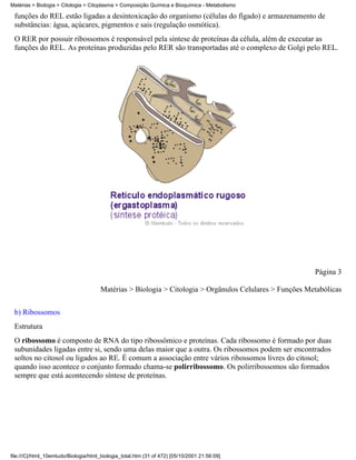 Matérias > Biologia > Citologia > Citoplasma > Composição Química e Bioquímica - Metabolismo

 funções do REL estão ligadas a desintoxicação do organismo (células do fígado) e armazenamento de
 substâncias: água, açúcares, pigmentos e sais (regulação osmótica).
 O RER por possuir ribossomos é responsável pela síntese de proteínas da célula, além de executar as
 funções do REL. As proteínas produzidas pelo RER são transportadas até o complexo de Golgi pelo REL.




                                                                                                         Página 3

                                       Matérias > Biologia > Citologia > Orgânulos Celulares > Funções Metabólicas

 b) Ribossomos
 Estrutura
 O ribossomo é composto de RNA do tipo ribossômico e proteínas. Cada ribossomo é formado por duas
 subunidades ligadas entre si, sendo uma delas maior que a outra. Os ribossomos podem ser encontrados
 soltos no citosol ou ligados ao RE. É comum a associação entre vários ribossomos livres do citosol;
 quando isso acontece o conjunto formado chama-se polirribossomo. Os polirribossomos são formados
 sempre que está acontecendo síntese de proteínas.




file:///C|/html_10emtudo/Biologia/html_biologia_total.htm (31 of 472) [05/10/2001 21:56:09]
 