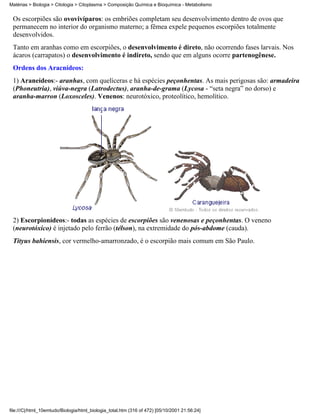 Matérias > Biologia > Citologia > Citoplasma > Composição Química e Bioquímica - Metabolismo


 Os escorpiões são ovovivíparos: os embriões completam seu desenvolvimento dentro de ovos que
 permanecem no interior do organismo materno; a fêmea expele pequenos escorpiões totalmente
 desenvolvidos.
 Tanto em aranhas como em escorpiões, o desenvolvimento é direto, não ocorrendo fases larvais. Nos
 ácaros (carrapatos) o desenvolvimento é indireto, sendo que em alguns ocorre partenogênese.
 Ordens dos Aracnídeos:
 1) Araneídeos:- aranhas, com quelíceras e há espécies peçonhentas. As mais perigosas são: armadeira
 (Phoneutria), viúva-negra (Latrodectus), aranha-de-grama (Lycosa - “seta negra” no dorso) e
 aranha-marron (Loxosceles). Venenos: neurotóxico, proteolítico, hemolítico.




 2) Escorpionídeos:- todas as espécies de escorpiões são venenosas e peçonhentas. O veneno
 (neurotóxico) é injetado pelo ferrão (télson), na extremidade do pós-abdome (cauda).
 Tityus bahiensis, cor vermelho-amarronzado, é o escorpião mais comum em São Paulo.




file:///C|/html_10emtudo/Biologia/html_biologia_total.htm (316 of 472) [05/10/2001 21:56:24]
 