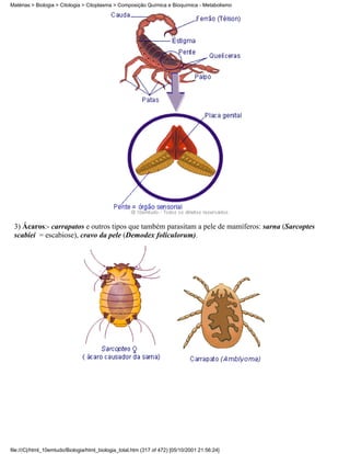 Matérias > Biologia > Citologia > Citoplasma > Composição Química e Bioquímica - Metabolismo




 3) Ácaros:- carrapatos e outros tipos que também parasitam a pele de mamíferos: sarna (Sarcoptes
 scabiei = escabiose), cravo da pele (Demodex foliculorum).




file:///C|/html_10emtudo/Biologia/html_biologia_total.htm (317 of 472) [05/10/2001 21:56:24]
 