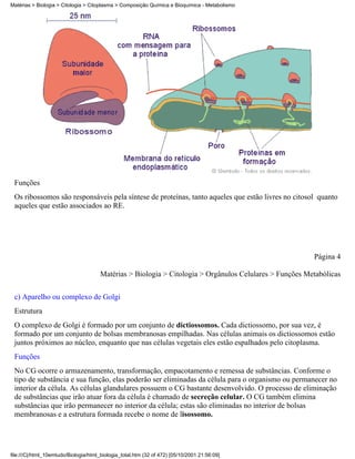 Matérias > Biologia > Citologia > Citoplasma > Composição Química e Bioquímica - Metabolismo




 Funções
 Os ribossomos são responsáveis pela síntese de proteínas, tanto aqueles que estão livres no citosol quanto
 aqueles que estão associados ao RE.




                                                                                                         Página 4

                                       Matérias > Biologia > Citologia > Orgânulos Celulares > Funções Metabólicas


 c) Aparelho ou complexo de Golgi
 Estrutura
 O complexo de Golgi é formado por um conjunto de dictiossomos. Cada dictiossomo, por sua vez, é
 formado por um conjunto de bolsas membranosas empilhadas. Nas células animais os dictiossomos estão
 juntos próximos ao núcleo, enquanto que nas células vegetais eles estão espalhados pelo citoplasma.
 Funções
 No CG ocorre o armazenamento, transformação, empacotamento e remessa de substâncias. Conforme o
 tipo de substância e sua função, elas poderão ser eliminadas da célula para o organismo ou permanecer no
 interior da célula. As células glandulares possuem o CG bastante desenvolvido. O processo de eliminação
 de substâncias que irão atuar fora da célula é chamado de secreção celular. O CG também elimina
 substâncias que irão permanecer no interior da célula; estas são eliminadas no interior de bolsas
 membranosas e a estrutura formada recebe o nome de lisossomo.




file:///C|/html_10emtudo/Biologia/html_biologia_total.htm (32 of 472) [05/10/2001 21:56:09]
 
