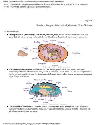 Matérias > Biologia > Citologia > Citoplasma > Composição Química e Bioquímica - Metabolismo

 ovos, ricos em vitelo, são postos agrupados em cápsulas gelatinosas. Ao eclodirem os ovos, emergem
 jovens cefalópodes capazes de nadar e capturar alimento.




                                                                                                                Página 4

                                                     Matérias > Biologia > Reino Animal (Metazoa) > Filos > Moluscos


 Há outras classes:
    q Monoplacóforos (Neopilina) – concha em forma de placa; vivem exclusivamente no mar, em
       geral de 2 a 7 mil metros de profundidade; são filtradores, alimentando-se de microrganismos.




                                                                                                    Neopilina




      q   Anfineuros ou Poliplacóforos (Chiton) – a concha tem grande semelhança entre as regiões
          anterior e posterior e é formada por oito placas encaixadas – mede entre 5 e 8 cm de comprimento.;
          vivem exclusivamente no mar, em água rasas, deslizando sobre rochas submersas, das quais raspa as
          algas de que se alimenta.




                                                                                               Chiton




      q   Escafópodos (Dentalium) – a concha lembra uma pequena presa de elefante, oca e aberta nas
          duas extremidades; exclusivamente marinhos, vivem enterrados na areia ou no lodo e possuem um
          pé afilado, especializado em cavar.




file:///C|/html_10emtudo/Biologia/html_biologia_total.htm (324 of 472) [05/10/2001 21:56:24]
 