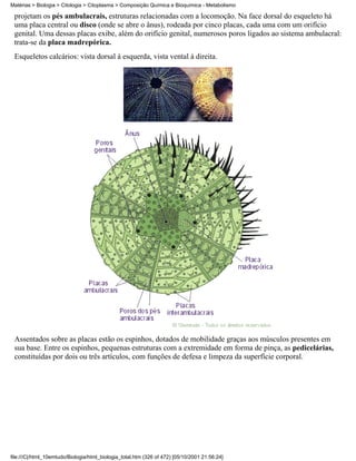 Matérias > Biologia > Citologia > Citoplasma > Composição Química e Bioquímica - Metabolismo

 projetam os pés ambulacrais, estruturas relacionadas com a locomoção. Na face dorsal do esqueleto há
 uma placa central ou disco (onde se abre o ânus), rodeada por cinco placas, cada uma com um orifício
 genital. Uma dessas placas exibe, além do orifício genital, numerosos poros ligados ao sistema ambulacral:
 trata-se da placa madrepórica.
 Esqueletos calcários: vista dorsal à esquerda, vista vental à direita.




 Assentados sobre as placas estão os espinhos, dotados de mobilidade graças aos músculos presentes em
 sua base. Entre os espinhos, pequenas estruturas com a extremidade em forma de pinça, as pedicelárias,
 constituídas por dois ou três artículos, com funções de defesa e limpeza da superfície corporal.




file:///C|/html_10emtudo/Biologia/html_biologia_total.htm (326 of 472) [05/10/2001 21:56:24]
 