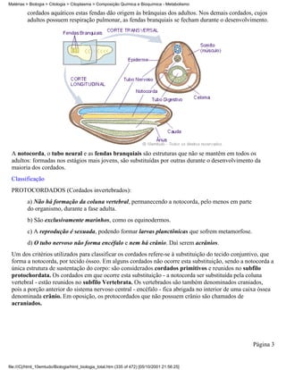 Matérias > Biologia > Citologia > Citoplasma > Composição Química e Bioquímica - Metabolismo

          cordados aquáticos estas fendas dão origem às brânquias dos adultos. Nos demais cordados, cujos
          adultos possuem respiração pulmonar, as fendas branquiais se fecham durante o desenvolvimento.




 A notocorda, o tubo neural e as fendas branquiais são estruturas que não se mantêm em todos os
 adultos: formadas nos estágios mais jovens, são substituídas por outras durante o desenvolvimento da
 maioria dos cordados.
 Classificação
 PROTOCORDADOS (Cordados invertebrados):
          a) Não há formação da coluna vertebral, permanecendo a notocorda, pelo menos em parte
          do organismo, durante a fase adulta.
          b) São exclusivamente marinhos, como os equinodermos.
          c) A reprodução é sexuada, podendo formar larvas planctônicas que sofrem metamorfose.
          d) O tubo nervoso não forma encéfalo e nem há crânio. Daí serem acrânios.
 Um dos critérios utilizados para classificar os cordados refere-se à substituição do tecido conjuntivo, que
 forma a notocorda, por tecido ósseo. Em alguns cordados não ocorre esta substituição, sendo a notocorda a
 única estrutura de sustentação do corpo: são considerados cordados primitivos e reunidos no subfilo
 protochordata. Os cordados em que ocorre esta substituição - a notocorda ser substituída pela coluna
 vertebral - estão reunidos no subfilo Vertebrata. Os vertebrados são também denominados craniados,
 pois a porção anterior do sistema nervoso central - encéfalo - fica abrigada no interior de uma caixa óssea
 denominada crânio. Em oposição, os protocordados que não possuem crânio são chamados de
 acraniados.




                                                                                                   Página 3


file:///C|/html_10emtudo/Biologia/html_biologia_total.htm (335 of 472) [05/10/2001 21:56:25]
 