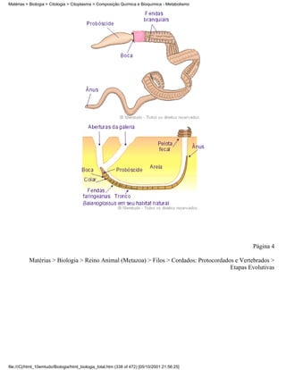 Matérias > Biologia > Citologia > Citoplasma > Composição Química e Bioquímica - Metabolismo




                                                                                                Página 4

           Matérias > Biologia > Reino Animal (Metazoa) > Filos > Cordados: Protocordados e Vertebrados >
                                                                                        Etapas Evolutivas




file:///C|/html_10emtudo/Biologia/html_biologia_total.htm (338 of 472) [05/10/2001 21:56:25]
 