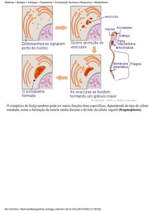 Matérias > Biologia > Citologia > Citoplasma > Composição Química e Bioquímica - Metabolismo




 O complexo de Golgi também pode ter outras funções bem específicas, dependendo do tipo de célula
 estudada, como a formação da lamela média durante a divisão da célula vegetal (fragmoplasto).




file:///C|/html_10emtudo/Biologia/html_biologia_total.htm (34 of 472) [05/10/2001 21:56:09]
 
