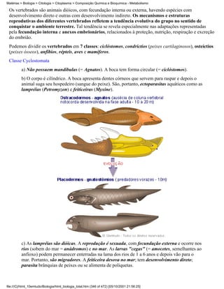 Matérias > Biologia > Citologia > Citoplasma > Composição Química e Bioquímica - Metabolismo

 Os vertebrados são animais dióicos, com fecundação interna ou externa, havendo espécies com
 desenvolvimento direto e outras com desenvolvimento indireto. Os mecanismos e estruturas
 reprodutivas dos diferentes vertebrados refletem a tendência evolutiva do grupo no sentido de
 conquistar o ambiente terrestre. Tal tendência se revela especialmente nas adaptações representadas
 pela fecundação interna e anexos embrionários, relacionados à proteção, nutrição, respiração e excreção
 do embrião.
 Podemos dividir os vertebrados em 7 classes: ciclóstomos, condríctios (peixes cartilaginosos), osteíctios
 (peixes ósseos), anfíbios, répteis, aves e mamíferos.
 Classe Cyclostomata
          a) Não possuem mandíbulas (= Agnatos). A boca tem forma circular (= ciclóstomos).
          b) O corpo é cilíndrico. A boca apresenta dentes córneos que servem para raspar e depois o
          animal suga seu hospedeiro (sangue do peixe). São, portanto, ectoparasitas aquáticos como as
          lampréias (Petromyzon) e feiticeiras (Myxine).




          c) As lampréias são dióicas. A reprodução é sexuada, com fecundação externa e ocorre nos
          rios (sobem do mar = anádromos) e no mar. As larvas "cegas" (= amocetes, semelhantes ao
          anfioxo) podem permanecer enterradas na lama dos rios de 1 a 6 anos e depois vão para o
          mar. Portanto, são migradores. A feiticeira desova no mar; tem desenvolvimento direto;
          parasita brânquias de peixes ou se alimenta de poliquetas.



file:///C|/html_10emtudo/Biologia/html_biologia_total.htm (346 of 472) [05/10/2001 21:56:25]
 