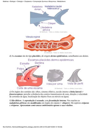 Matérias > Biologia > Citologia > Citoplasma > Composição Química e Bioquímica - Metabolismo




          d) As escamas são do tipo placóides, de origem dermo-epidérmicas, semelhantes aos dentes.




          e) Os órgãos dos sentidos são: olhos, sistema olfativo, ouvido interno e linha lateral (=
          fonorreceptora: percebe a distância dos centros transmissores de sons, direção e velocidade
          de correntes de água, localização de objetos fixos ou móveis na água).
          f) São dióicos. A reprodução é sexuada, com fecundação interna. Nos machos as
          nadadeiras pélvicas são modificadas em órgãos de cópula (= cláspers). Há espécies ovíparas
          e vivíparas. Apresentam como anexo embrionário apenas o saco vitelino.




file:///C|/html_10emtudo/Biologia/html_biologia_total.htm (350 of 472) [05/10/2001 21:56:26]
 