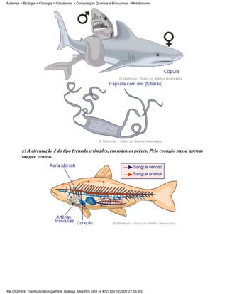 Matérias > Biologia > Citologia > Citoplasma > Composição Química e Bioquímica - Metabolismo




          g) A circulação é do tipo fechada e simples, em todos os peixes. Pelo coração passa apenas
          sangue venoso.




file:///C|/html_10emtudo/Biologia/html_biologia_total.htm (351 of 472) [05/10/2001 21:56:26]
 