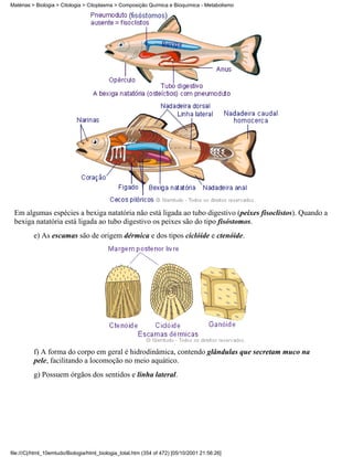 Matérias > Biologia > Citologia > Citoplasma > Composição Química e Bioquímica - Metabolismo




 Em algumas espécies a bexiga natatória não está ligada ao tubo digestivo (peixes fisoclistos). Quando a
 bexiga natatória está ligada ao tubo digestivo os peixes são do tipo fisóstomos.
          e) As escamas são de origem dérmica e dos tipos ciclóide e ctenóide.




          f) A forma do corpo em geral é hidrodinâmica, contendo glândulas que secretam muco na
          pele, facilitando a locomoção no meio aquático.
          g) Possuem órgãos dos sentidos e linha lateral.




file:///C|/html_10emtudo/Biologia/html_biologia_total.htm (354 of 472) [05/10/2001 21:56:26]
 