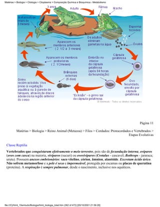 Matérias > Biologia > Citologia > Citoplasma > Composição Química e Bioquímica - Metabolismo




                                                                                                 Página 11

           Matérias > Biologia > Reino Animal (Metazoa) > Filos > Cordados: Protocordados e Vertebrados >
                                                                                        Etapas Evolutivas


 Classe Reptilia
 Vertebrados que conquistaram efetivamente o meio terrestre, pois são de fecundação interna, ovíparos
 (ovos com casca) na maioria, vivíparos (sucuri) ou ovovivíparos (Crotalus - cascavel; Bothrops - jararaca;
 urutu). Possuem anexos embrionários: saco vitelino, córion, âmnion, alantóide. Excretam ácido úrico.
 Não sofrem metamorfose e a pele é seca e impermeável, protegida por escamas ou placas de queratina
 (proteína). A respiração é sempre pulmonar, desde o nascimento, inclusive nos aquáticos.




file:///C|/html_10emtudo/Biologia/html_biologia_total.htm (362 of 472) [05/10/2001 21:56:26]
 