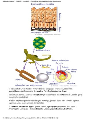 Matérias > Biologia > Citologia > Citoplasma > Composição Química e Bioquímica - Metabolismo




          a) São cordados, vertebrados, deuterostômios, tetrápodes, celomados, amniotas,
          alantoidianos, pecilotérmicos. O esqueleto é predominantemente ósseo.
          São dióicos, exceto a jararaca-ilhoa (Bothrops insularis) da ilha da Queimada Grande, que é
          monóica (hermafrodita).
          b) Estão adaptados para viverem na água (tartaruga, jacarés) ou na terra (cobras, lagartos,
          lagartixas), mas todos respiram por pulmões.
          c) Dentição dos ofídios: áglifas (jibóia, sucuri), opistóglifas (muçurana, falsa coral) ,
          proteróglifas (Micrurus – família Elapidae), solenóglifas (Crotalus, Bothrops).



file:///C|/html_10emtudo/Biologia/html_biologia_total.htm (363 of 472) [05/10/2001 21:56:26]
 
