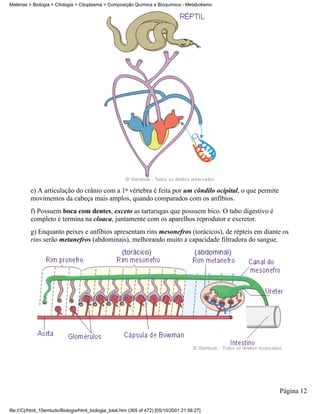 Matérias > Biologia > Citologia > Citoplasma > Composição Química e Bioquímica - Metabolismo




          e) A articulação do crânio com a 1a vértebra é feita por um côndilo ocipital, o que permite
          movimentos da cabeça mais amplos, quando comparados com os anfíbios.
          f) Possuem boca com dentes, exceto as tartarugas que possuem bico. O tubo digestivo é
          completo e termina na cloaca, juntamente com os aparelhos reprodutor e excretor.
          g) Enquanto peixes e anfíbios apresentam rins mesonefros (torácicos), de répteis em diante os
          rins serão metanefros (abdominais), melhorando muito a capacidade filtradora do sangue.




                                                                                                        Página 12

file:///C|/html_10emtudo/Biologia/html_biologia_total.htm (365 of 472) [05/10/2001 21:56:27]
 