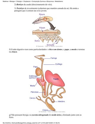 Matérias > Biologia > Citologia > Citoplasma > Composição Química e Bioquímica - Metabolismo

                  2) Retrizes da cauda (direcionamento do vôo);
                  3) Tectrizes de revestimento (cobertura que mantém camada de ar). Há ainda a
                  penugem que é comum nas aves jovens.




          f) O tubo digestivo tem como particularidades: o bico sem dentes, o papo, a moela e termina
          na cloaca.




          g) Não possuem bexiga e o excreta nitrogenado é o ácido úrico, eliminado junto com as
          fezes.

file:///C|/html_10emtudo/Biologia/html_biologia_total.htm (371 of 472) [05/10/2001 21:56:27]
 