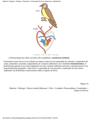 Matérias > Biologia > Citologia > Citoplasma > Composição Química e Bioquímica - Metabolismo




          j) Para proteção dos olhos, possuem sob as pálpebras a membrana nictitante.
 O principal avanço das aves em relação aos répteis reside em sua capacidade de controlar a temperatura do
 corpo, mantendo-a constante, independente de variações ambientais: são vertebrados homeotérmicos. A
 homeotermia garante às aves fácil adaptação aos mais variados ambientes terrestres, tornando possível sua
 larga distribuição geográfica. Além disso, a capacidade de voar permitiu a exploração do meio aéreo,
 ampliando sua distribuição a praticamente todas as regiões da Terra.




                                                                                                Página 14

           Matérias > Biologia > Reino Animal (Metazoa) > Filos > Cordados: Protocordados e Vertebrados >
                                                                                        Etapas Evolutivas




file:///C|/html_10emtudo/Biologia/html_biologia_total.htm (373 of 472) [05/10/2001 21:56:27]
 