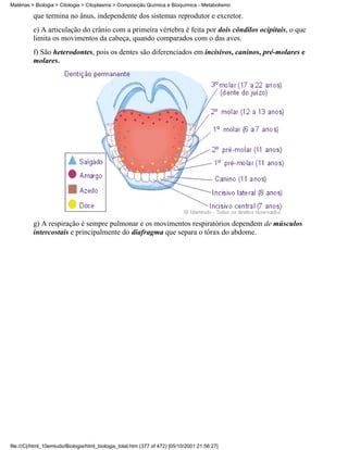 Matérias > Biologia > Citologia > Citoplasma > Composição Química e Bioquímica - Metabolismo

          que termina no ânus, independente dos sistemas reprodutor e excretor.
          e) A articulação do crânio com a primeira vértebra é feita por dois côndilos ocipitais, o que
          limita os movimentos da cabeça, quando comparados com o das aves.
          f) São heterodontes, pois os dentes são diferenciados em incisivos, caninos, pré-molares e
          molares.




          g) A respiração é sempre pulmonar e os movimentos respiratórios dependem de músculos
          intercostais e principalmente do diafragma que separa o tórax do abdome.




file:///C|/html_10emtudo/Biologia/html_biologia_total.htm (377 of 472) [05/10/2001 21:56:27]
 