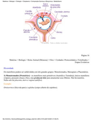 Matérias > Biologia > Citologia > Citoplasma > Composição Química e Bioquímica - Metabolismo




                                                                                               Página 16

           Matérias > Biologia > Reino Animal (Metazoa) > Filos > Cordados: Protocordados e Vertebrados >
                                                                                        Etapas Evolutivas


 Diversidade
 Os mamíferos podem ser subdivididos em três grandes grupos: Monotremados, Marsupiais e Placentários.
 1) Monotremados (Prototérios) - os mamíferos mais primitivos (Austrália e Tasmânia), únicos mamíferos
 ovíparos, possuem cloaca e bico, mas produzem leite para amamentar seus filhotes. Não há mamilos.
 Neles não há placenta, útero e vagina (adelfos).
 Exemplo:
 Ornitorrinco (bico-de-pato) e eqüidna (corpo coberto de espinhos).




file:///C|/html_10emtudo/Biologia/html_biologia_total.htm (380 of 472) [05/10/2001 21:56:27]
 
