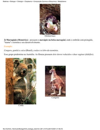 Matérias > Biologia > Citologia > Citoplasma > Composição Química e Bioquímica - Metabolismo




                                                                Ornitorrinco
 2) Marsupiais (Metatérios) - possuem o marsúpio ou bolsa marsupial, onde o embrião está protegido,
 "mama" e termina o seu desenvolvimento.
 Exemplo:
 Canguru, gambá e cuíca (Brasil), coalas e o lobo-da-tasmânia.
 Esse grupo predomina na Austrália. As fêmeas possuem dois úteros reduzidos e duas vaginas (didelfos).




                                                                           Canguru


                       Coala




file:///C|/html_10emtudo/Biologia/html_biologia_total.htm (381 of 472) [05/10/2001 21:56:27]
 