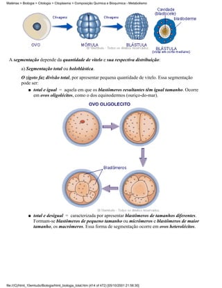Matérias > Biologia > Citologia > Citoplasma > Composição Química e Bioquímica - Metabolismo




 A segmentação depende da quantidade de vitelo e sua respectiva distribuição:
          a) Segmentação total ou holoblástica.
          O zigoto faz divisão total, por apresentar pequena quantidade de vitelo. Essa segmentação
          pode ser:
             q total e igual = aquela em que os blastômeros resultantes têm igual tamanho. Ocorre
                em ovos oligolécitos, como o dos equinodermos (ouriço-do-mar).




               q   total e desigual = caracterizada por apresentar blastômeros de tamanhos diferentes.
                   Formam-se blastômeros de pequeno tamanho ou micrômeros e blastômeros de maior
                   tamanho, os macrômeros. Essa forma de segmentação ocorre em ovos heterolécitos.




file:///C|/html_10emtudo/Biologia/html_biologia_total.htm (414 of 472) [05/10/2001 21:56:30]
 