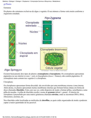 Matérias > Biologia > Citologia > Citoplasma > Composição Química e Bioquímica - Metabolismo

 g) Plastos
 Estrutura
 Os plastos são estruturas exclusivas de algas e vegetais. O seu número e forma varia muito conforme o
 organismo estudado.




 Existem basicamente dois tipos de plastos: cromoplastos e leucoplastos. Os cromoplastos apresentam
 pigmentos no seu interior (cromo = cor), os leucoplastos (leuco = branco), não contém pigmentos. O
 cromoplasto mais comum nos vegetais é o cloroplasto.
 Cloroplasto
 Os cloroplastos apresentam forma discoidal, são envolvidos por uma membrana externa e uma interna.
 Além destas, os plastos apresentam muitas membranas internas que formam bolsas chatas em forma de
 disco chamadas tilacóides. Estes, por sua vez, estão dispostos de modo a formar pilhas, semelhantes a uma
 pilha de moedas. A pilha de tilacóides recebe o nome de granum (plural = grana) . O interior do
 cloroplasto é preenchido por uma matriz gelatinosa chamada estroma, onde se encontram DNA, RNA,
 ribossomos, enzimas, etc.
 Nos tilacóides estão localizadas as moléculas de clorofilas, as quais estão organizadas de modo a poderem
 captar a maior quantidade de luz possível.




file:///C|/html_10emtudo/Biologia/html_biologia_total.htm (42 of 472) [05/10/2001 21:56:10]
 