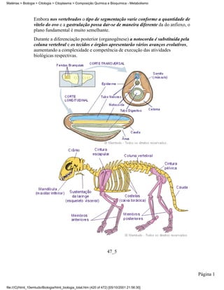 Matérias > Biologia > Citologia > Citoplasma > Composição Química e Bioquímica - Metabolismo



                  Embora nos vertebrados o tipo de segmentação varie conforme a quantidade de
                  vitelo do ovo e a gastrulação possa dar-se de maneira diferente da do anfioxo, o
                  plano fundamental é muito semelhante.
                  Durante a diferenciação posterior (organogênese) a notocorda é substituída pela
                  coluna vertebral e os tecidos e órgãos apresentarão vários avanços evolutivos,
                  aumentando a complexidade e competência de execução das atividades
                  biológicas respectivas.




                                                                     47_5



                                                                                                     Página 1

file:///C|/html_10emtudo/Biologia/html_biologia_total.htm (420 of 472) [05/10/2001 21:56:30]
 