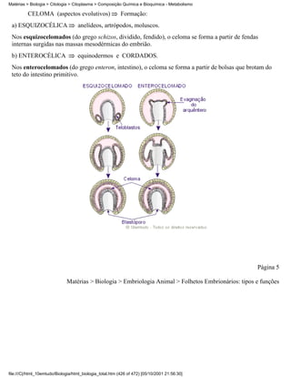 Matérias > Biologia > Citologia > Citoplasma > Composição Química e Bioquímica - Metabolismo

          CELOMA (aspectos evolutivos)                     Formação:
 a) ESQUIZOCÉLICA                   anelídeos, artrópodos, moluscos.
 Nos esquizocelomados (do grego schizos, dividido, fendido), o celoma se forma a partir de fendas
 internas surgidas nas massas mesodérmicas do embrião.
 b) ENTEROCÉLICA                    equinodermos e CORDADOS.
 Nos enterocelomados (do grego enteron, intestino), o celoma se forma a partir de bolsas que brotam do
 teto do intestino primitivo.




                                                                                                      Página 5

                              Matérias > Biologia > Embriologia Animal > Folhetos Embrionários: tipos e funções




file:///C|/html_10emtudo/Biologia/html_biologia_total.htm (426 of 472) [05/10/2001 21:56:30]
 
