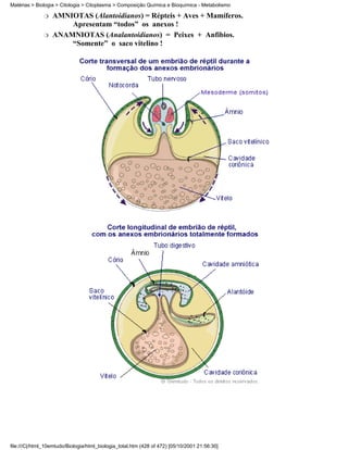 Matérias > Biologia > Citologia > Citoplasma > Composição Química e Bioquímica - Metabolismo

              r   AMNIOTAS (Alantoidianos) = Répteis + Aves + Mamíferos.
                      Apresentam “todos” os anexos !
              r   ANAMNIOTAS (Analantoidianos) = Peixes + Anfíbios.
                      “Somente” o saco vitelino !




file:///C|/html_10emtudo/Biologia/html_biologia_total.htm (428 of 472) [05/10/2001 21:56:30]
 