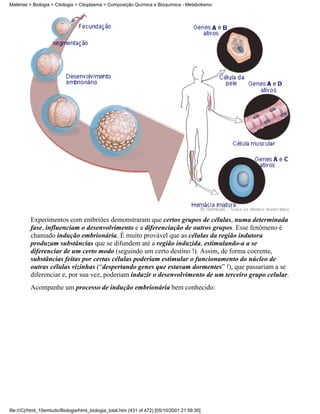 Matérias > Biologia > Citologia > Citoplasma > Composição Química e Bioquímica - Metabolismo




          Experimentos com embriões demonstraram que certos grupos de células, numa determinada
          fase, influenciam o desenvolvimento e a diferenciação de outros grupos. Esse fenômeno é
          chamado indução embrionária. É muito provável que as células da região indutora
          produzam substâncias que se difundem até a região induzida, estimulando-a a se
          diferenciar de um certo modo (seguindo um certo destino !). Assim, de forma coerente,
          substâncias feitas por certas células poderiam estimular o funcionamento do núcleo de
          outras células vizinhas (“despertando genes que estavam dormentes” !), que passariam a se
          diferenciar e, por sua vez, poderiam induzir o desenvolvimento de um terceiro grupo celular.
          Acompanhe um processo de indução embrionária bem conhecido:




file:///C|/html_10emtudo/Biologia/html_biologia_total.htm (431 of 472) [05/10/2001 21:56:30]
 