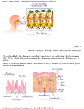 Matérias > Biologia > Citologia > Citoplasma > Composição Química e Bioquímica - Metabolismo




                                                                                                            Página 3

                                               Matérias > Biologia > Histologia Animal > Tecido Epitelial de Secreção


 Os epitélios ciliados têm células com a superfície livre coberta por um grande número de cílios (cerca de
 200 a 250 por célula). O batimento coordenado dos cílios garante o deslocamento de substâncias sobre as
 células.
 Dentre os epitélios de absorção convém salientarmos o da mucosa intestinal, cujas células têm um grande
 número de microvilosidades.




file:///C|/html_10emtudo/Biologia/html_biologia_total.htm (436 of 472) [05/10/2001 21:56:31]
 