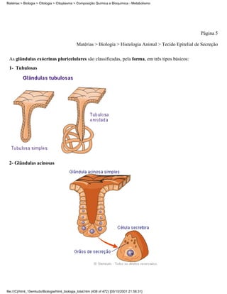 Matérias > Biologia > Citologia > Citoplasma > Composição Química e Bioquímica - Metabolismo




                                                                                                            Página 5

                                               Matérias > Biologia > Histologia Animal > Tecido Epitelial de Secreção


 As glândulas exócrinas pluricelulares são classificadas, pela forma, em três tipos básicos:
 1- Tubulosas




 2- Glândulas acinosas




file:///C|/html_10emtudo/Biologia/html_biologia_total.htm (438 of 472) [05/10/2001 21:56:31]
 