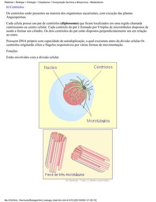 Matérias > Biologia > Citologia > Citoplasma > Composição Química e Bioquímica - Metabolismo

 h) Centríolos
 Os centríolos estão presentes na maioria dos organismos eucariontes, com exceção das plantas
 Angiospermas.
 Cada célula possui um par de centríolos (diplossomo) que ficam localizados em uma região chamada
 centrossomo ou centro celular. Cada centríolo do par é formado por 9 triplas de microtúbulos dispostos de
 modo a formar um cilindro. Os dois centríolos do par estão dispostos perpendicularmente um em relação
 ao outro.
 Possuem DNA próprio com capacidade de autoduplicação, a qual executam antes da divisão celular.Os
 centríolos originarão cílios e flagelos responsáveis por várias formas de movimentação.
 Funções
 Estão envolvidos com a divisão celular.




file:///C|/html_10emtudo/Biologia/html_biologia_total.htm (44 of 472) [05/10/2001 21:56:10]
 