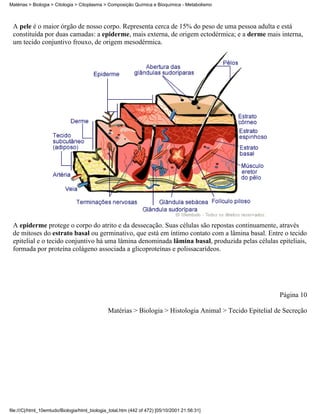 Matérias > Biologia > Citologia > Citoplasma > Composição Química e Bioquímica - Metabolismo



 A pele é o maior órgão de nosso corpo. Representa cerca de 15% do peso de uma pessoa adulta e está
 constituída por duas camadas: a epiderme, mais externa, de origem ectodérmica; e a derme mais interna,
 um tecido conjuntivo frouxo, de origem mesodérmica.




 A epiderme protege o corpo do atrito e da dessecação. Suas células são repostas continuamente, através
 de mitoses do estrato basal ou germinativo, que está em íntimo contato com a lâmina basal. Entre o tecido
 epitelial e o tecido conjuntivo há uma lâmina denominada lâmina basal, produzida pelas células epiteliais,
 formada por proteína colágeno associada a glicoproteínas e polissacarídeos.




                                                                                                           Página 10

                                               Matérias > Biologia > Histologia Animal > Tecido Epitelial de Secreção




file:///C|/html_10emtudo/Biologia/html_biologia_total.htm (442 of 472) [05/10/2001 21:56:31]
 