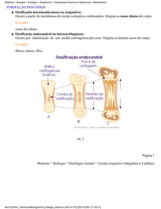 Matérias > Biologia > Citologia > Citoplasma > Composição Química e Bioquímica - Metabolismo

 FORMAÇÃO DOS OSSOS
   q Ossificação intramembranosa ou conjuntiva:
     Ocorre a partir de membranas de tecido conjuntivo embrionário. Origina os ossos chatos do corpo.
          Exemplo
          ossos do crânio.
      q   Ossificação endocondral ou intracartilaginosa:
          Ocorre por substituição de um molde cartilaginoso por osso. Origina os demais ossos do corpo.
          Exemplo
          fêmur, úmero, tíbia.




                                                                     54_7



                                                                                                       Página 1

                               Matérias > Biologia > Histologia Animal > Tecido conjuntivo Sangüíneo e Linfático




file:///C|/html_10emtudo/Biologia/html_biologia_total.htm (453 of 472) [05/10/2001 21:56:31]
 