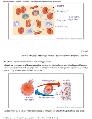 Matérias > Biologia > Citologia > Citoplasma > Composição Química e Bioquímica - Metabolismo




                                                                                                       Página 3

                               Matérias > Biologia > Histologia Animal > Tecido conjuntivo Sangüíneo e Linfático


 As células sangüíneas constituem os elementos figurados:
 a)hemácias, eritrócitos ou glóbulos vermelhos: apresentam, no citoplasma, a proteína hemoglobina com
 íons de Fe2+ que fazem parte do grupo heme no centro da molécula. A hemoglobina liga-se aos gases O2 e
 parte do CO2 a fim de conduzi-los na circulação.




 Os mamíferos são os únicos vertebrados em que as hemácias são anucleadas, portanto de vida curta,


file:///C|/html_10emtudo/Biologia/html_biologia_total.htm (456 of 472) [05/10/2001 21:56:32]
 